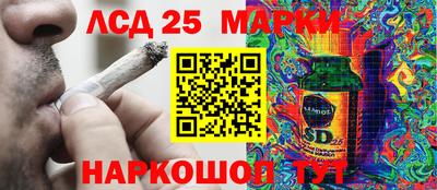 ПСИЛОЦИБИНОВЫЕ ГРИБЫ Камышлов