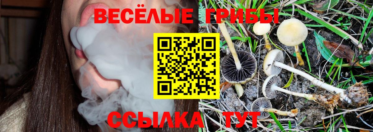 Псилоцибиновые грибы мухоморы Алексеевка