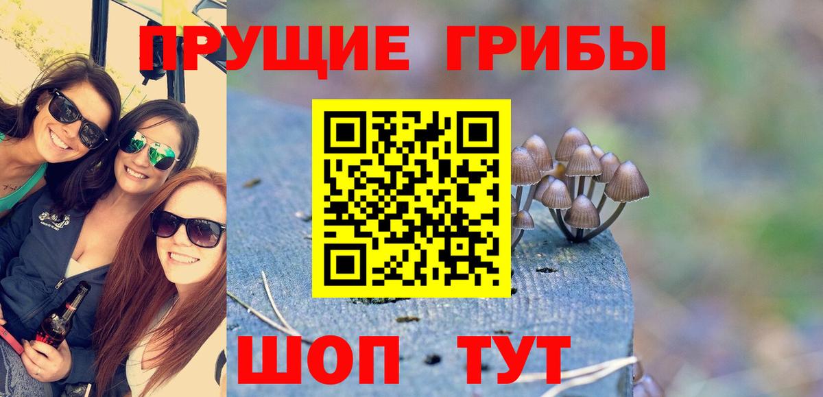 Псилоцибиновые грибы Psilocybe  где купить наркотик  Алексеевка  Вход с VPN 